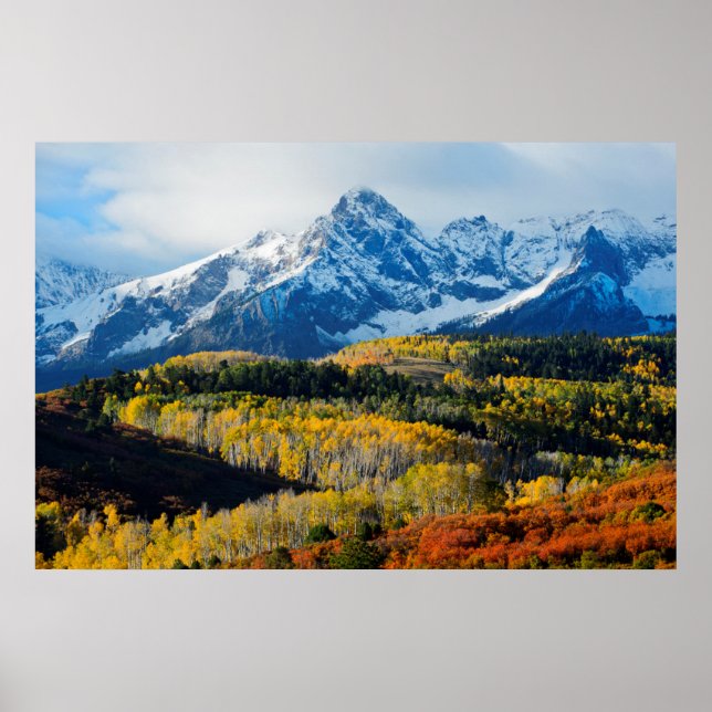 Snowy Mountain & Träd Poster (Framsidan)
