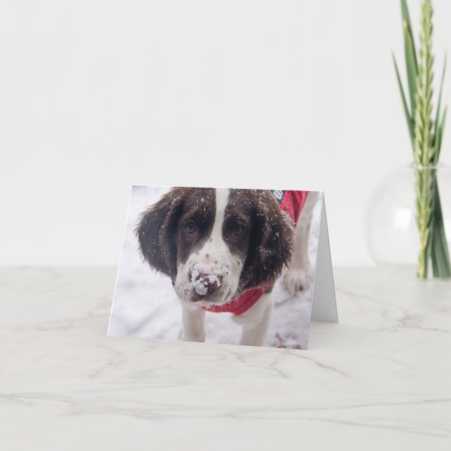 Snowy Nose Puppy Helgkort (Framsida)