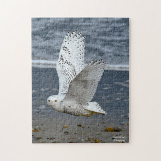 Snowy Owl on a beach Pussel