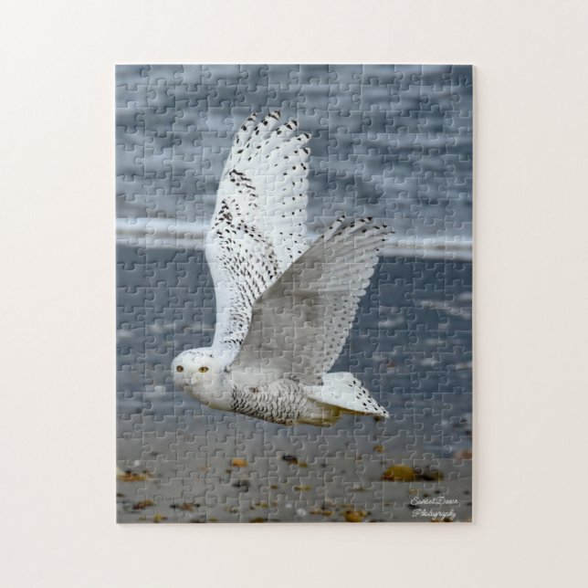 Snowy Owl on a beach  Pussel (Vertikal)