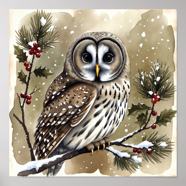 Snowy Owl on Holly Branch Watercolor Christmas Poster (Framsidan)