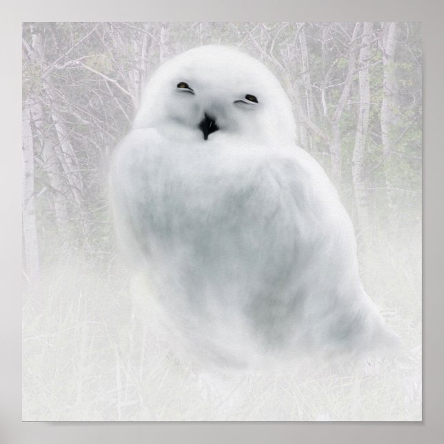 Snowy Owlet Poster (Framsidan)