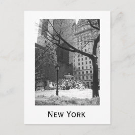 Snowy Park i New York Vykort