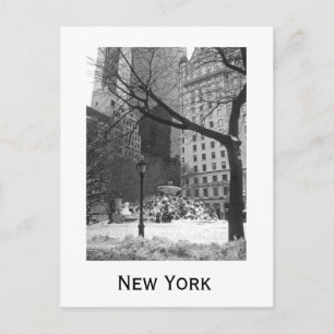 Snowy Park i New York Vykort