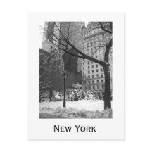 Snowy Park i New York