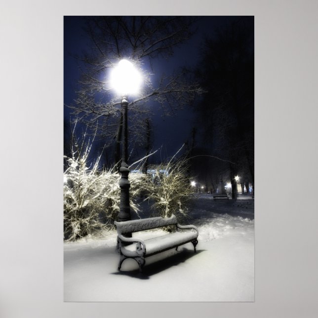 Snowy Park Poster (Framsidan)
