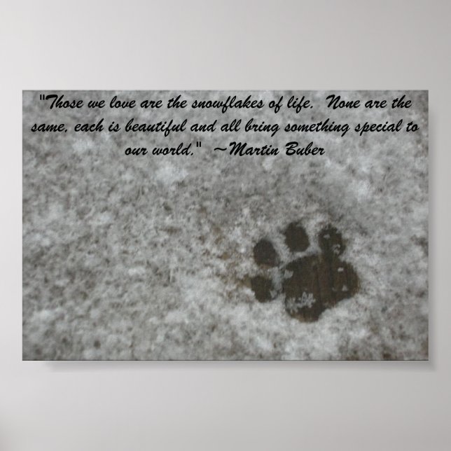 Snowy Paw Skriv ut Poster (Framsidan)