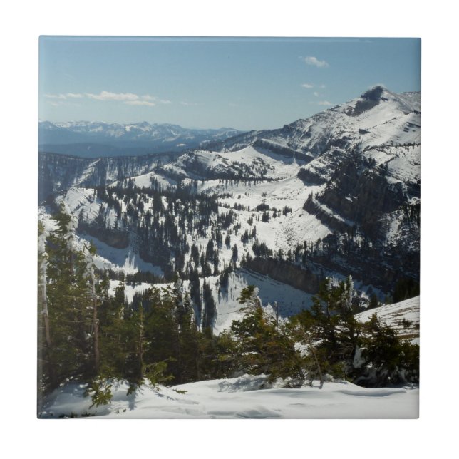 Snowy Peaks of Grand Teton Mountains II Photo Kakelplatta (Framsidan)