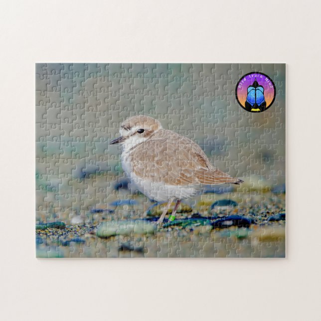 Snowy Plover Jigszle Puzzle Pussel (Horisontell)
