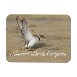Snowy Plover Stretch Imperial Beach California Magnet