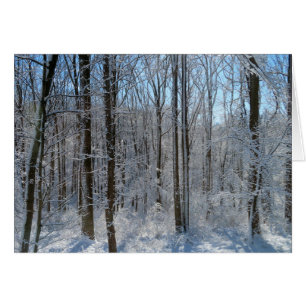 Snowy Poplar Forest I Hälsningskort