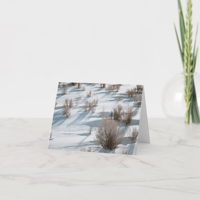 Snowy Rabbitbrush - 4" x 5.6" Notecard Tack Kort (Framsida)