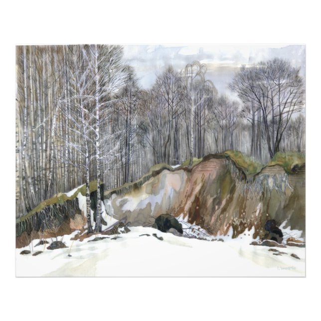 Snowy ravine fototryck (Framsidan)