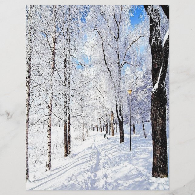 Snowy Road (Framsida)