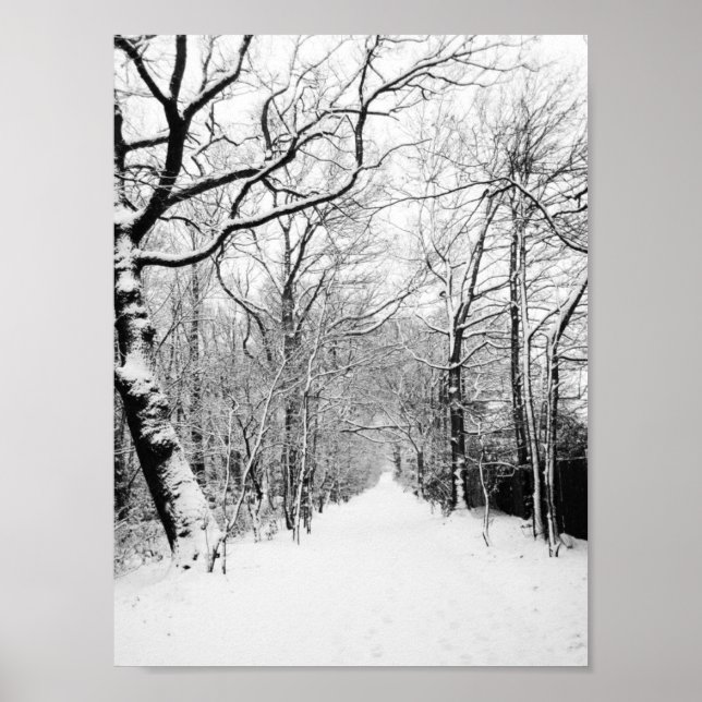 Snowy Road Poster (Framsidan)