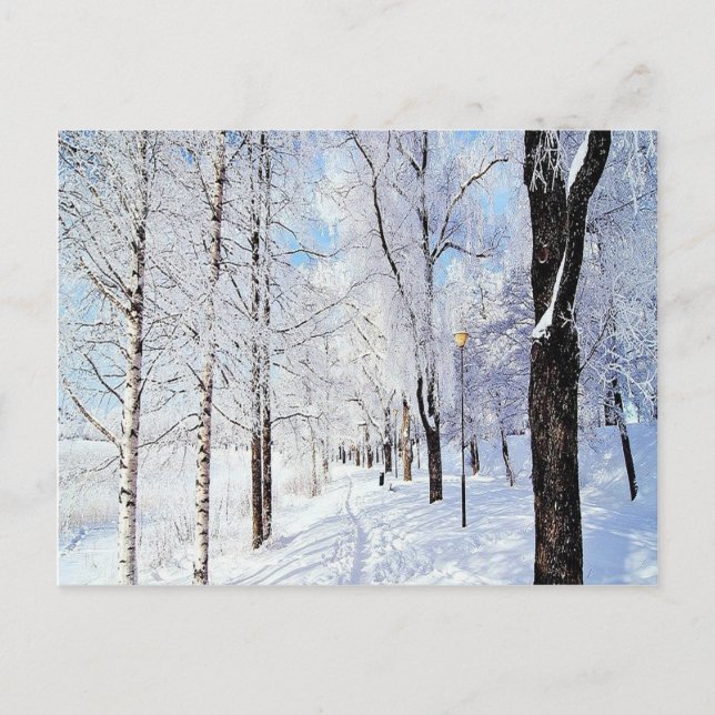 Snowy Road Vykort (Framsida)