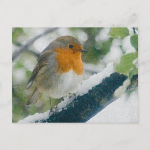 Snowy Robin Postcard Vykort