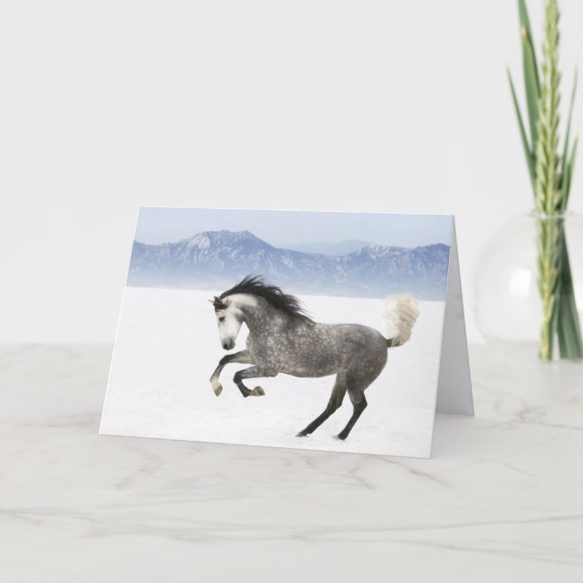 Snowy Romp Horse Greeting Card Kort (Framsida)