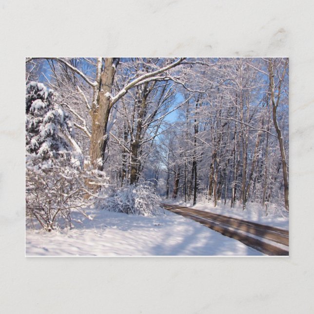 Snowy Rural Michigan Vykort (Framsida)