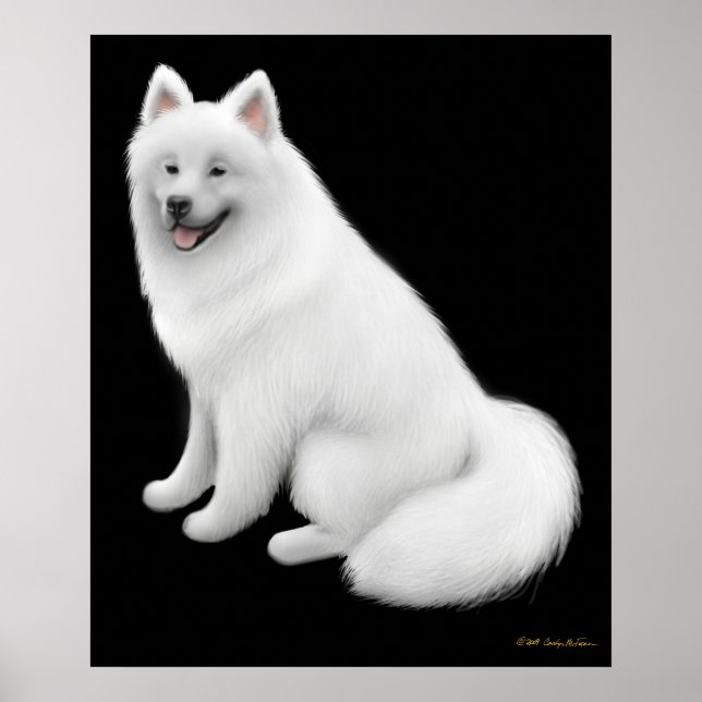 Snowy Samoyed Hund Print Poster (Framsidan)