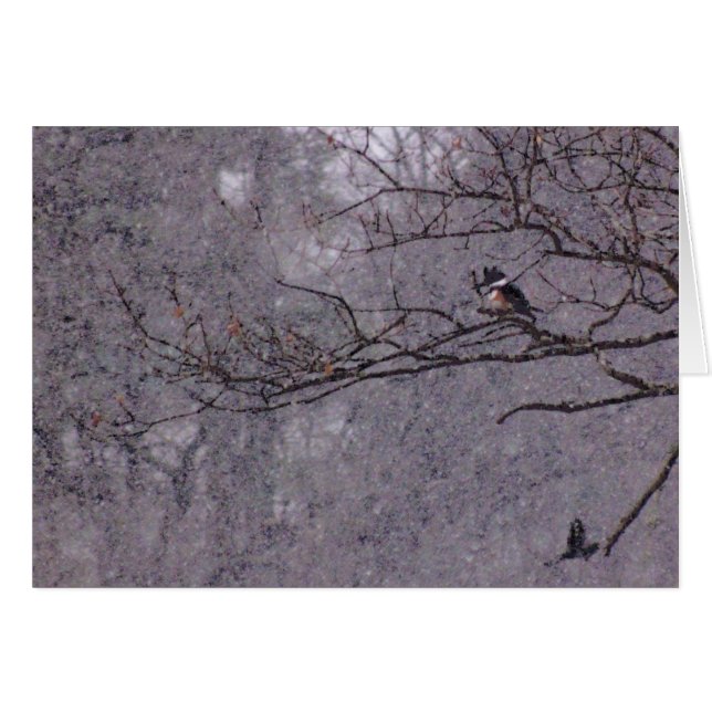 Snowy Scene Hälsningskort (Framsidan Horizontal)