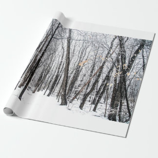 Snowy Scene i Woodland Michigan Presentpapper