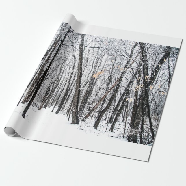 Snowy Scene i Woodland Michigan Presentpapper (Utrullad)