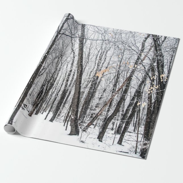 Snowy Scene i Woodland Michigan Presentpapper (Utrullad)