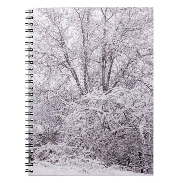 Snowy Scene Photo Notebook Anteckningsbok Med Spiral (Framsidan)