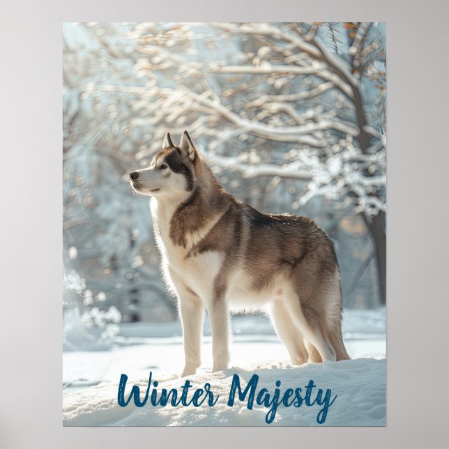 Snowy Sentinel: Alaska Malamute Majesty Poster (Framsidan)