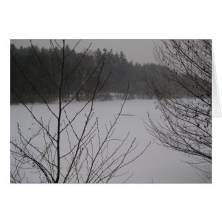 Snowy Sjö II Hälsningskort