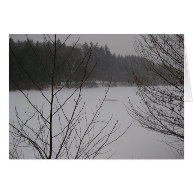 Snowy Sjö II Hälsningskort (Framsidan Horizontal)