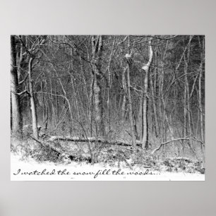Snowy Skogen Poster