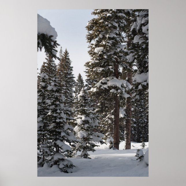 Snowy Skogen Poster (Framsidan)