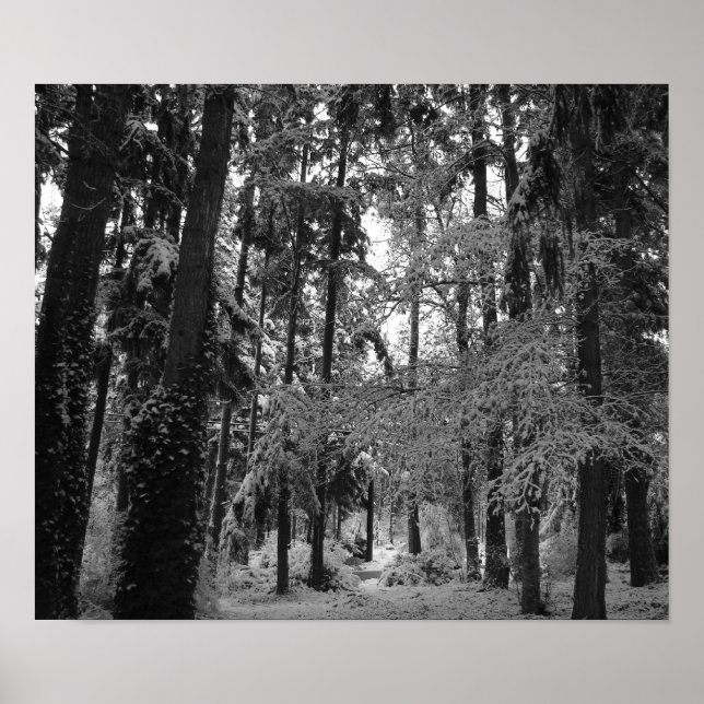 Snowy Skogen Poster (Framsidan)