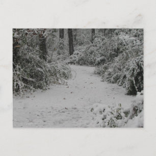 Snowy Skogen Vykort