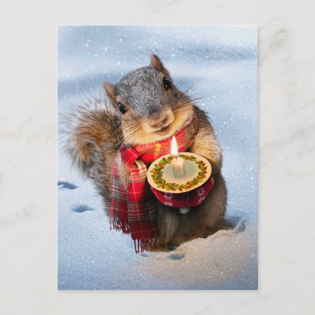 Snowy Squirrel Holding Candle Inbjudan Vykort (Framsida)