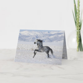 Snowy Stallion Running Horse Greeting Card Helgkort