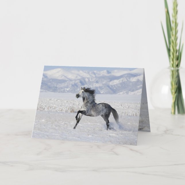 Snowy Stallion Running Horse Greeting Card Helgkort (Framsida)