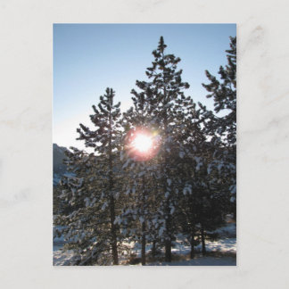 Snowy sunrise i Colorado Vykort