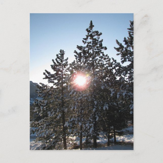 Snowy sunrise i Colorado Vykort (Framsida)
