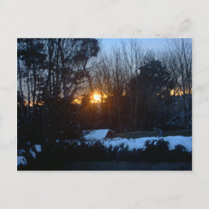 Snowy Sunrise Vykort