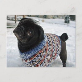 Snowy Sweater Pug-vykort Vykort