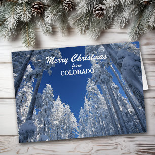 Snowy Träd från Colorado-julkort Hälsningskort