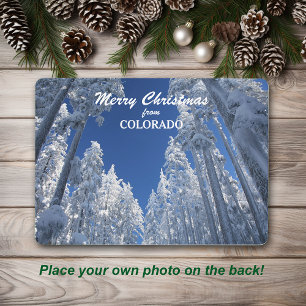 Snowy Träd från Colorado Photo Template Julkort