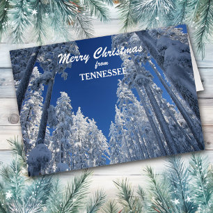 Snowy Träd från Tennessee-julkort Hälsningskort