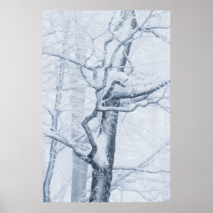 Snowy träd, fryst poster