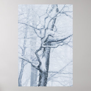 Snowy träd, fryst poster