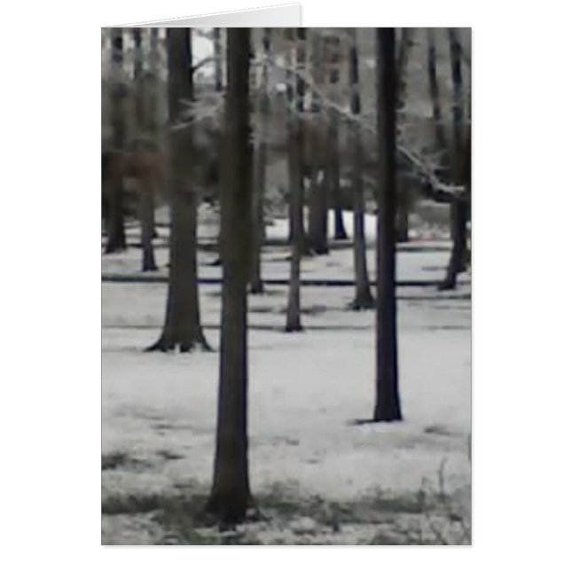 Snowy Träd Hälsningskort (Framsidan)