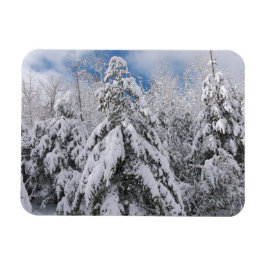 Snowy Träd Magnet